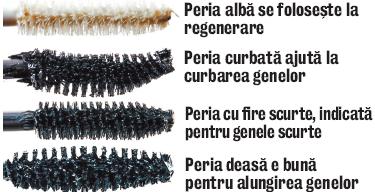 3766-93502-perii.jpg 3766-93502-perii.jpg