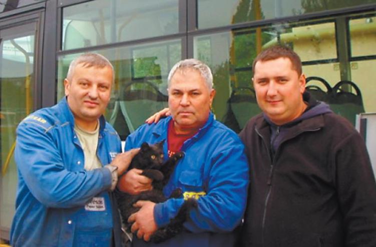 3770-94225-autobuz1.jpg 3770-94225-autobuz1.jpg