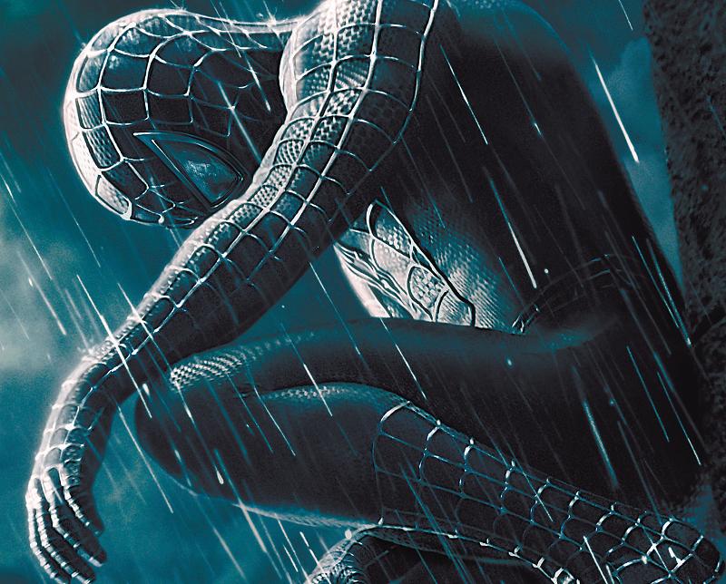 3772-94817-spider.jpg 3772-94817-spider.jpg