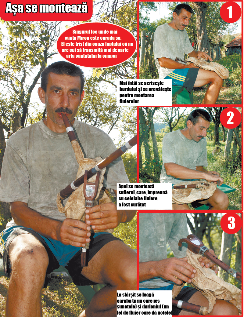 3773-95044-compoi.jpg 3773-95044-compoi.jpg