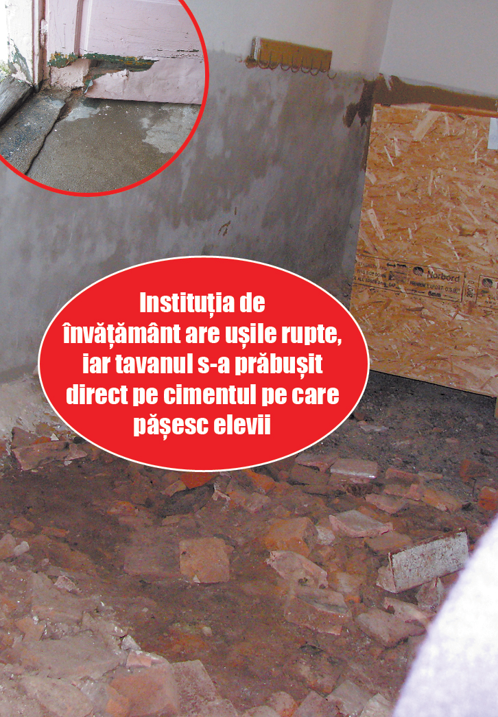 3773-95128-alba.jpg 3773-95128-alba.jpg