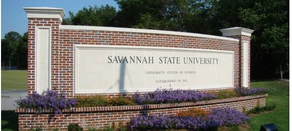 0-107792-savannah.jpg 0-107792-savannah.jpg