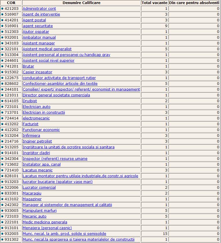 Locuri De Muncă Vacante In Judeţele Alba Arad Arges Bacău