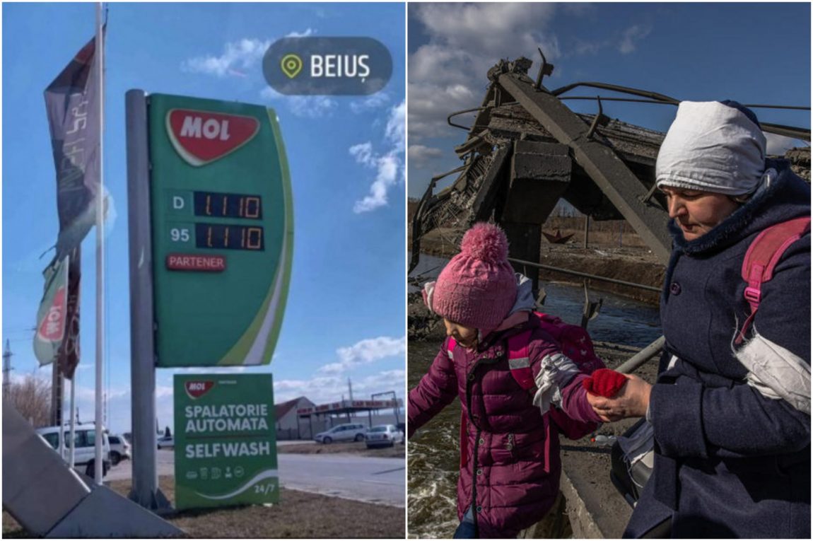 Recomandări a 11 articole care merită citite, dacă v-au scăpat în această săptămână